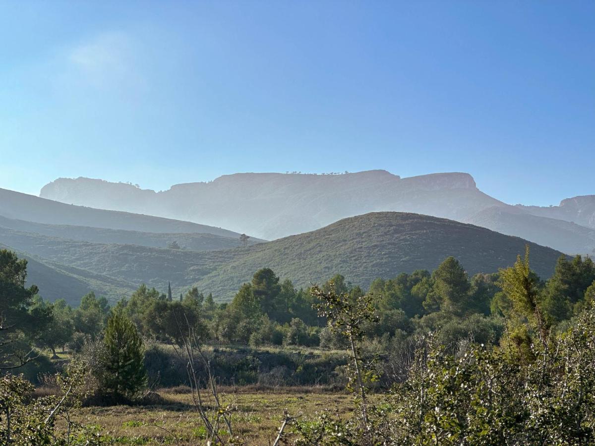 Wonderful Comfortable In The Burga Valley *