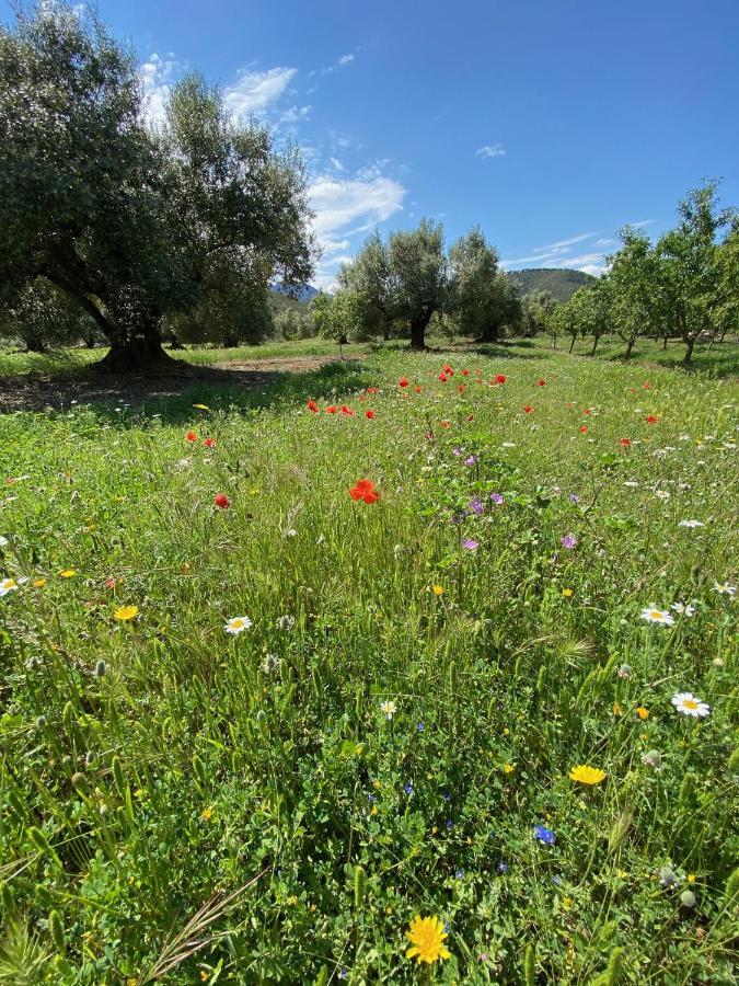 Wonderful Comfortable In The Burga Valley * Rasquera